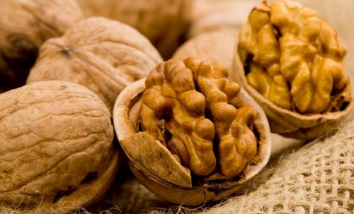 Полезные и вредные свойства грецкого ореха: лучшие рецепты
