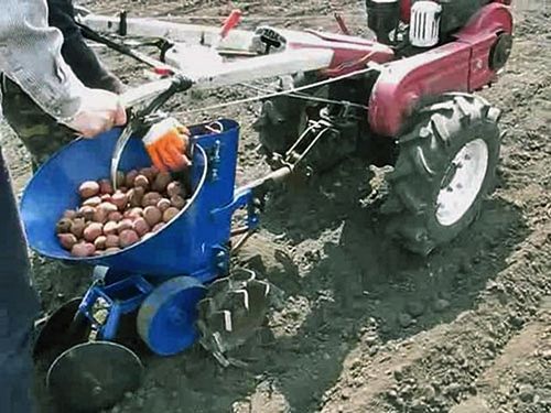 Посадка картофеля мотоблоком с окучником двухрядным: видео