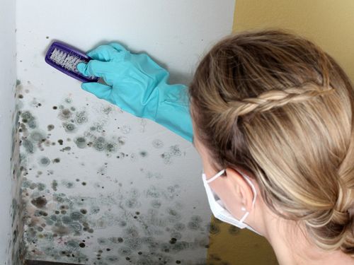Как правильно и эффективно вывести грибок на стенах жилых помещений