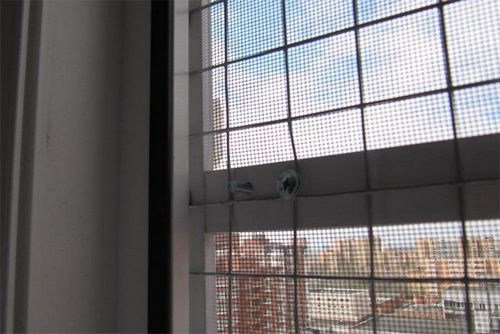 Сетка антикошка на окна своими руками: фото, видео инструкция
