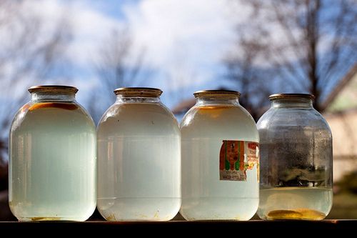 Сколько хранится березовый сок в холодильнике, правила консервации