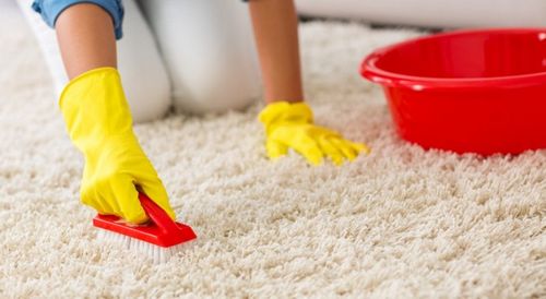 «Ваниш» для ковров: правила использования, чистка ковров